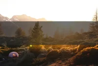 Self-Control: Simple Habits That Help You Grow Stronger